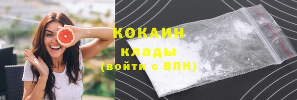 сатива Белокуриха