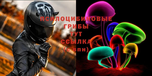 сатива Белокуриха