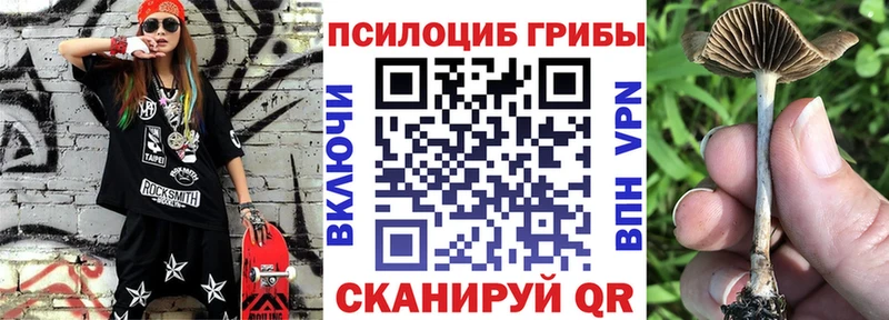 Галлюциногенные грибы GOLDEN TEACHER  Купить закладки  Дигора 